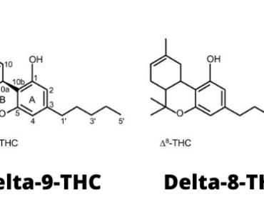 Qu’est-ce que le Delta 8, cette molécule proche du THC ?